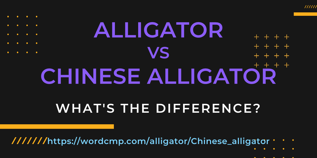 Difference between alligator and Chinese alligator