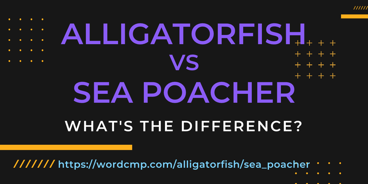 Difference between alligatorfish and sea poacher