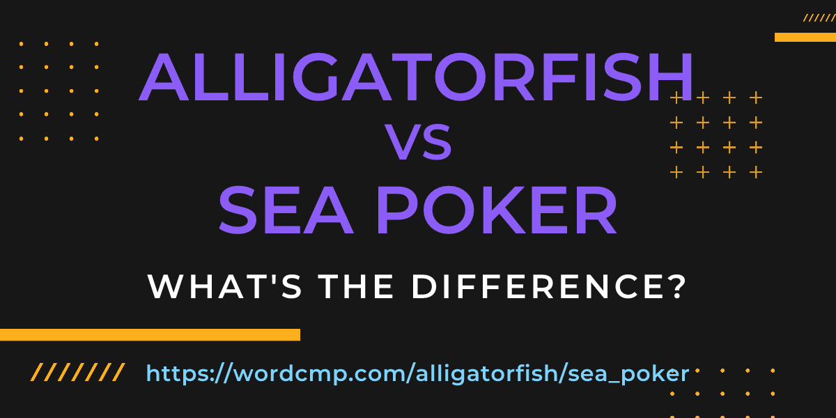 Difference between alligatorfish and sea poker