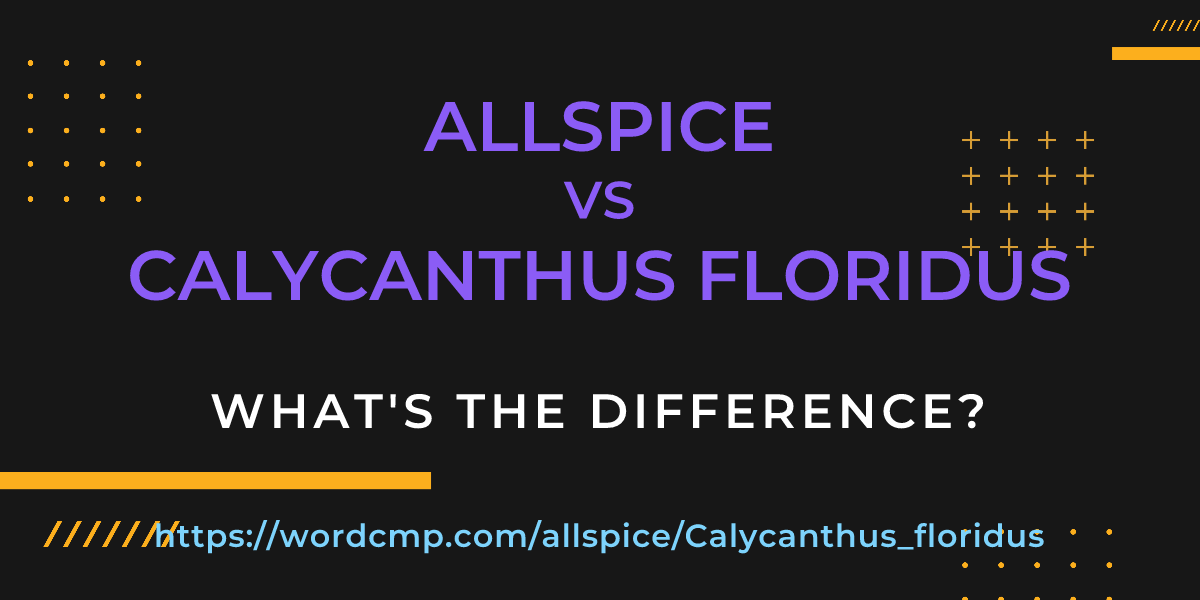 Difference between allspice and Calycanthus floridus