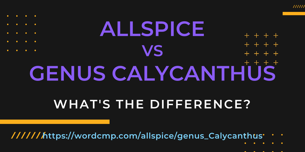 Difference between allspice and genus Calycanthus