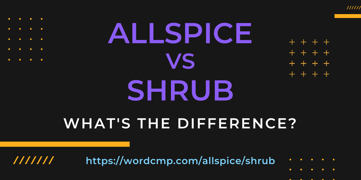 Difference between allspice and shrub