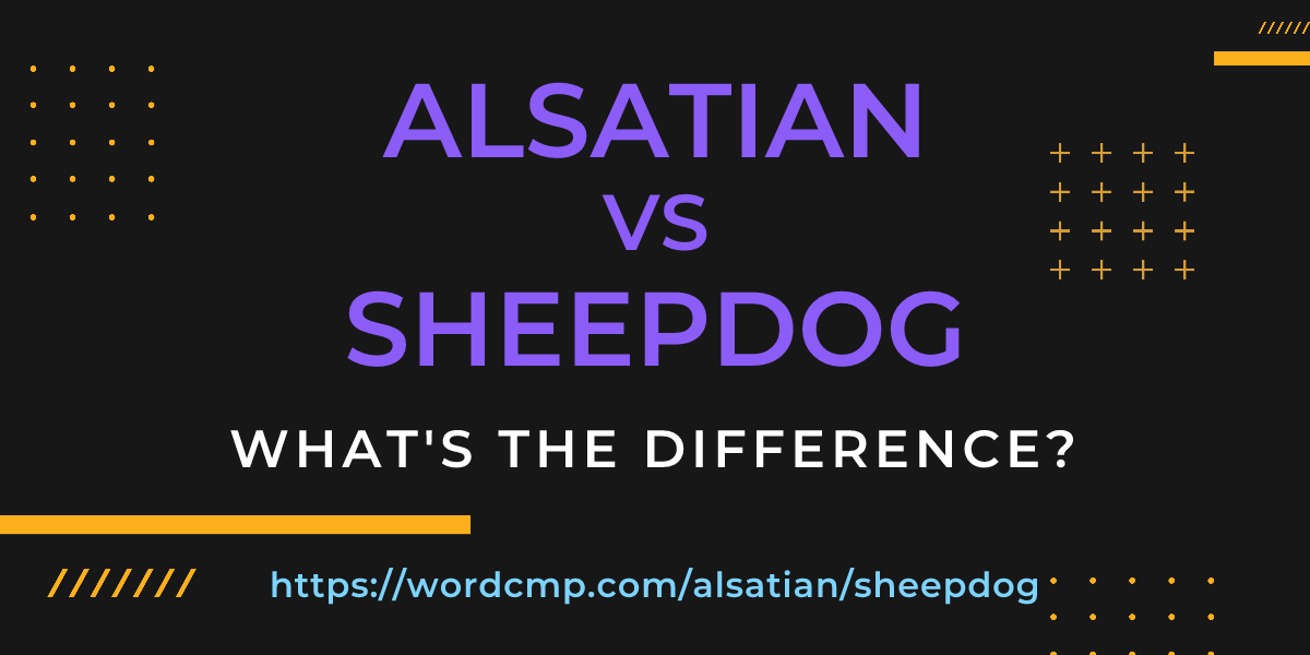 Difference between alsatian and sheepdog