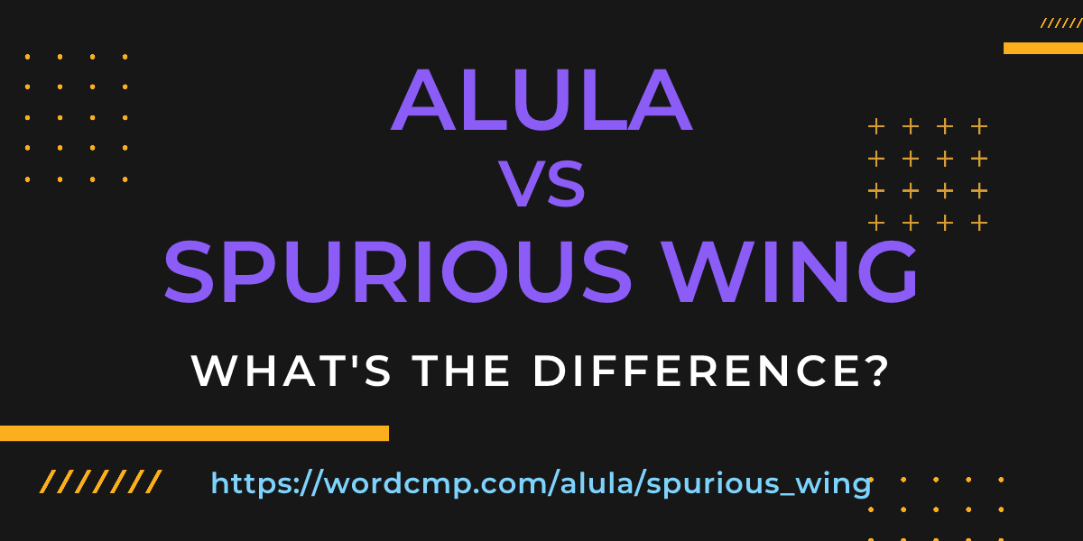Difference between alula and spurious wing