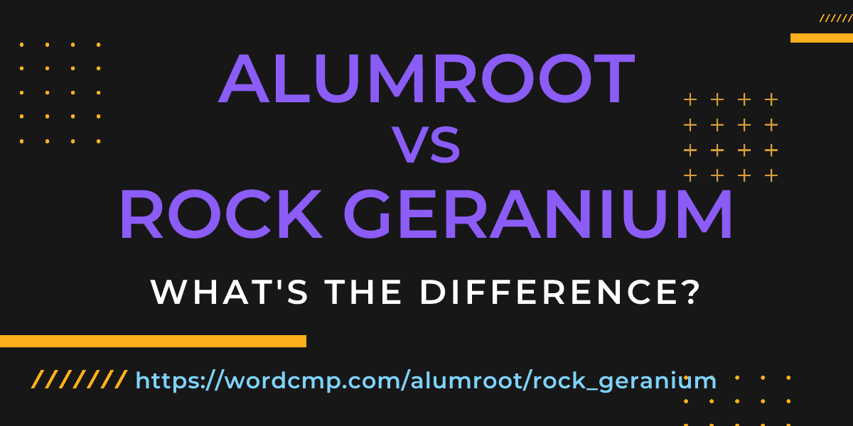 Difference between alumroot and rock geranium