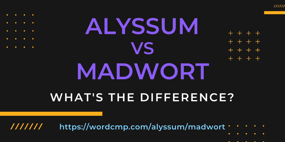 Difference between alyssum and madwort