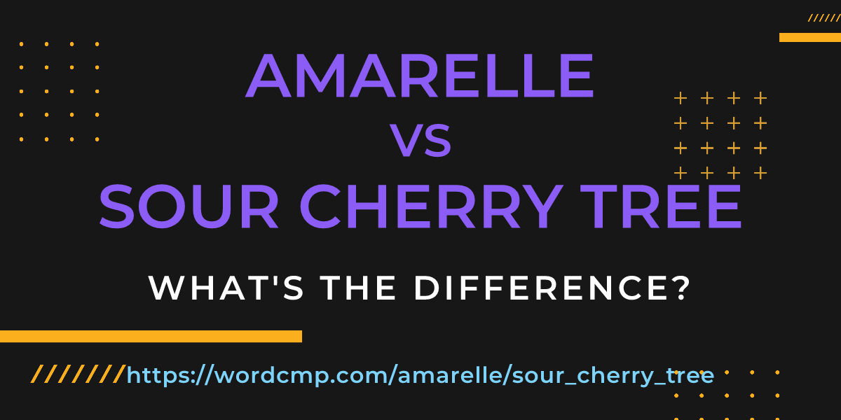 Difference between amarelle and sour cherry tree