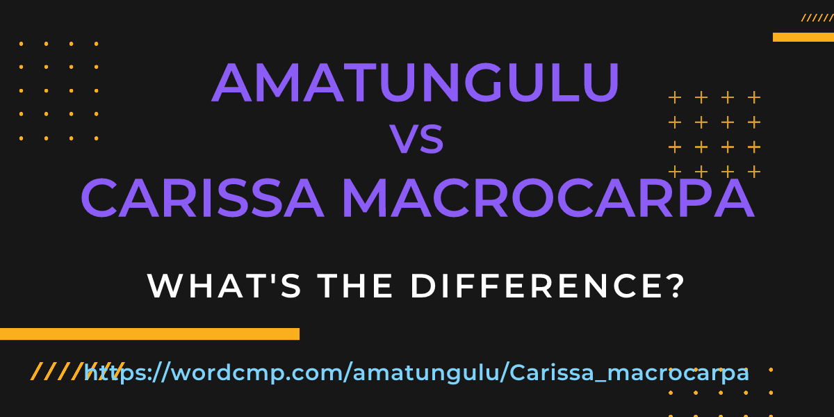 Difference between amatungulu and Carissa macrocarpa