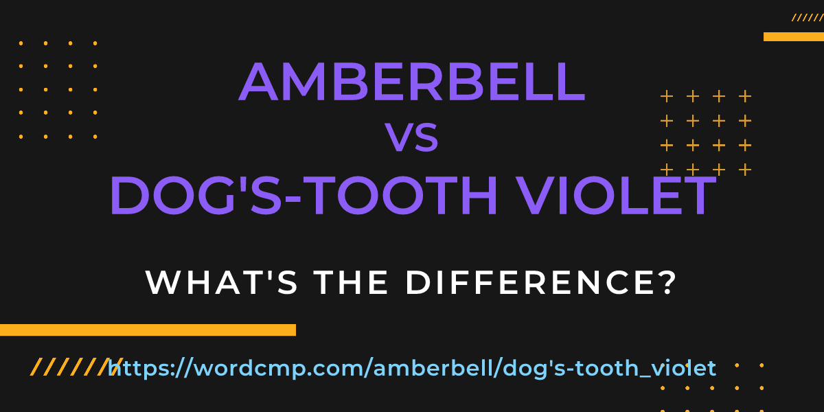Difference between amberbell and dog's-tooth violet