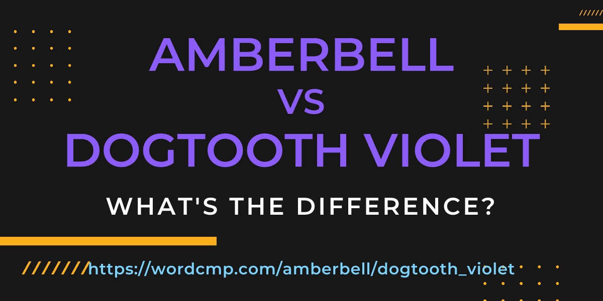Difference between amberbell and dogtooth violet
