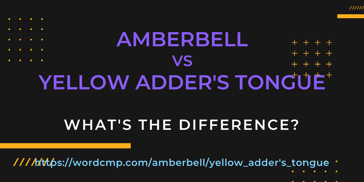 Difference between amberbell and yellow adder's tongue