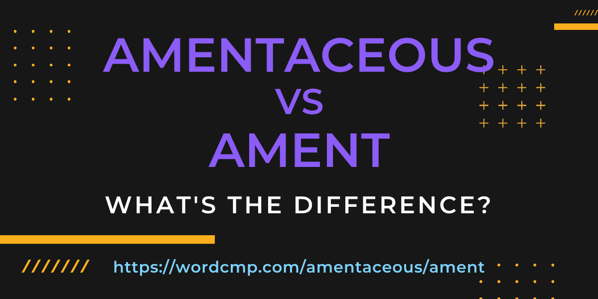 Difference between amentaceous and ament