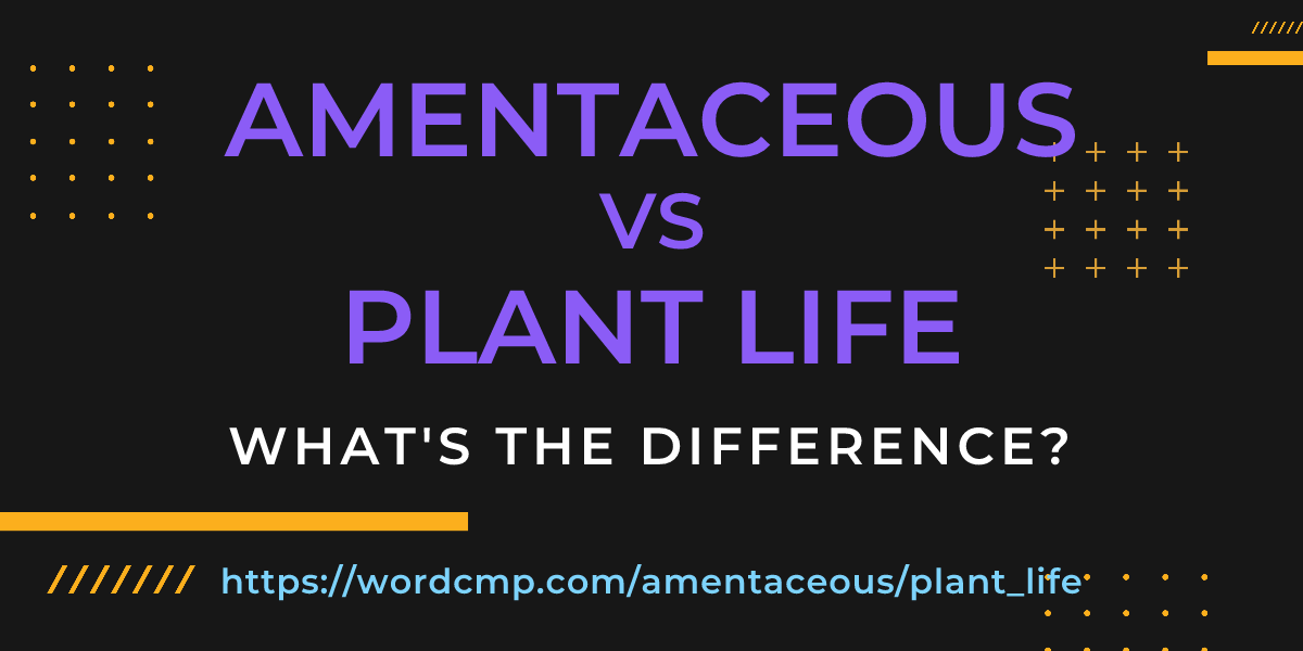 Difference between amentaceous and plant life