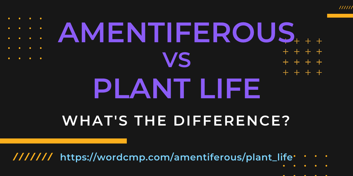 Difference between amentiferous and plant life