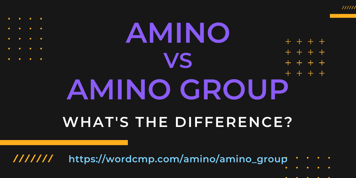 Difference between amino and amino group