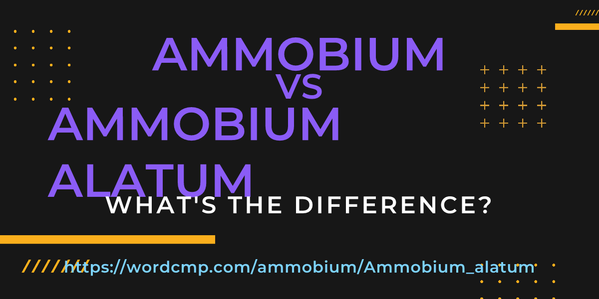 Difference between ammobium and Ammobium alatum