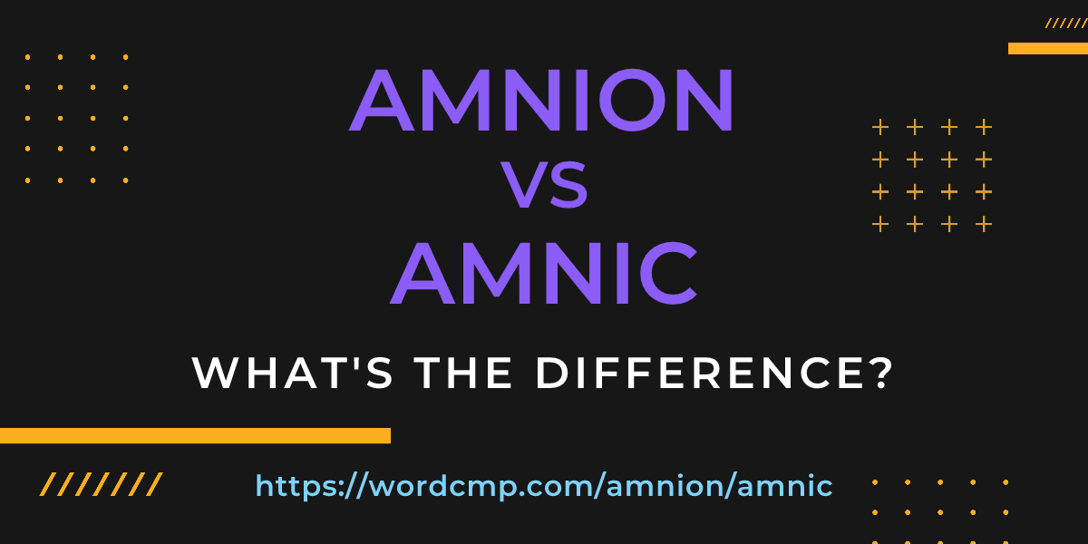Difference between amnion and amnic