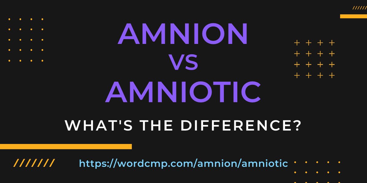 Difference between amnion and amniotic