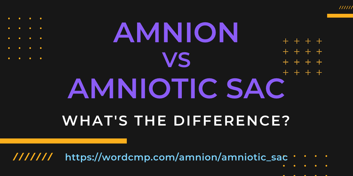 Difference between amnion and amniotic sac