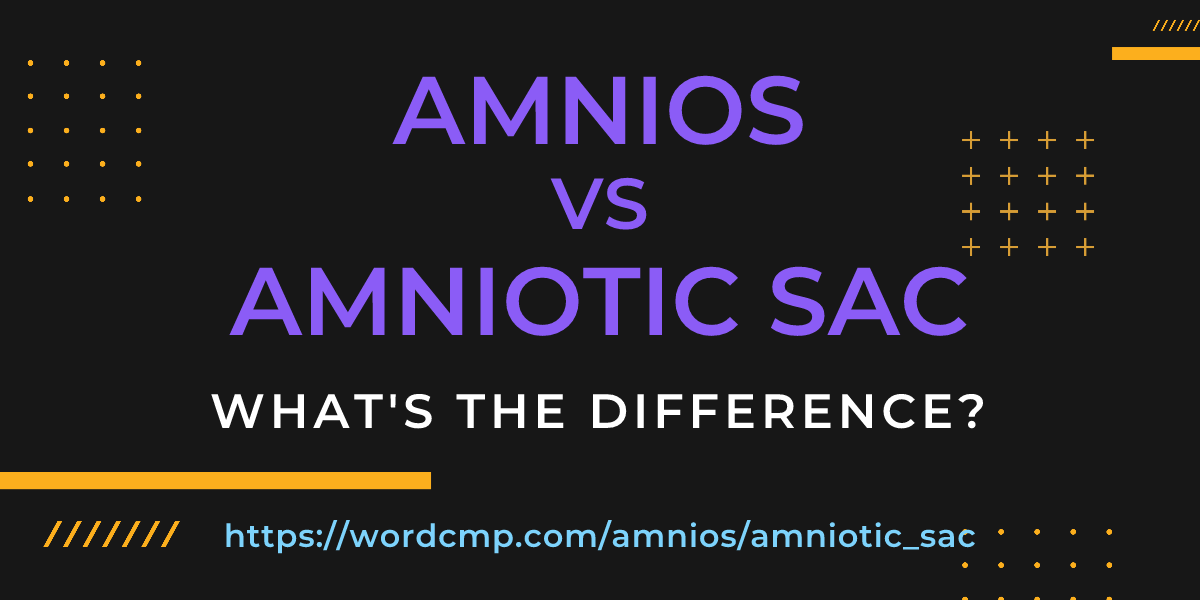 Difference between amnios and amniotic sac