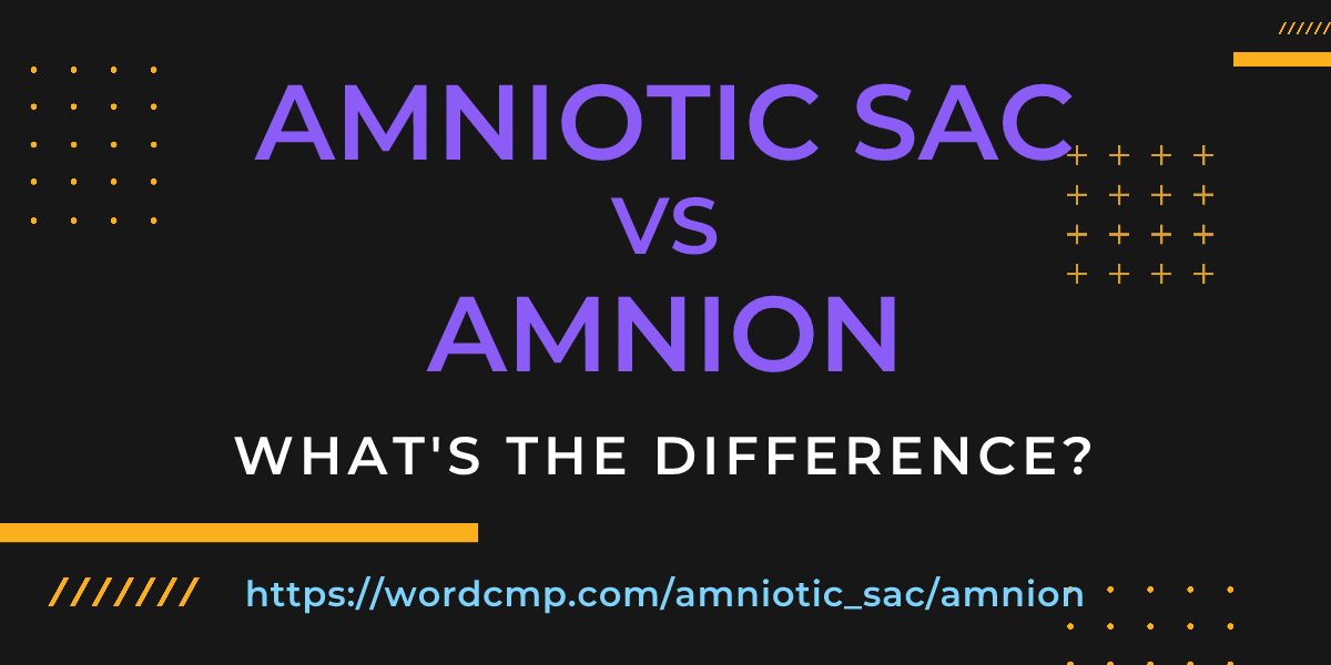Difference between amniotic sac and amnion