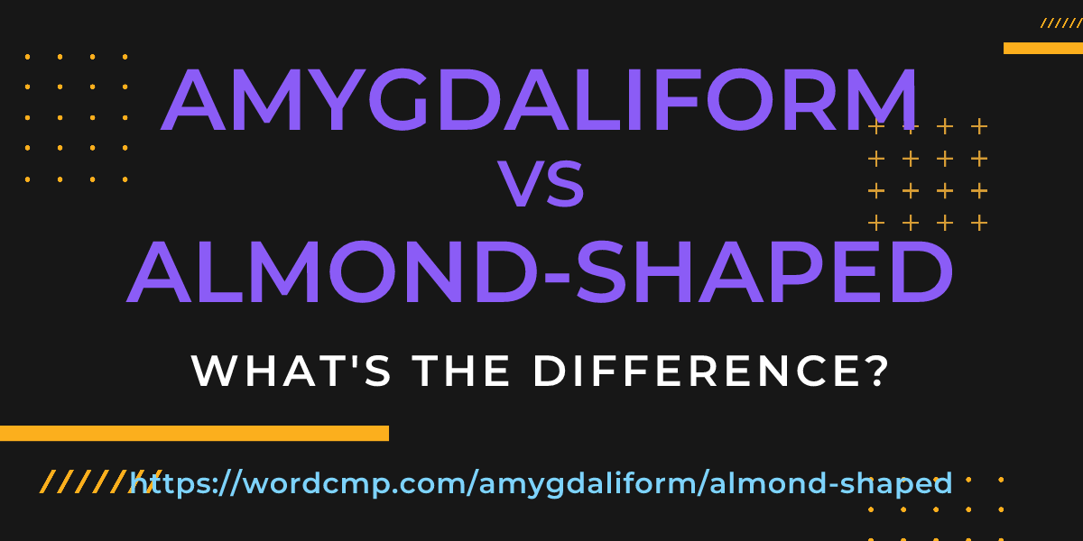Difference between amygdaliform and almond-shaped