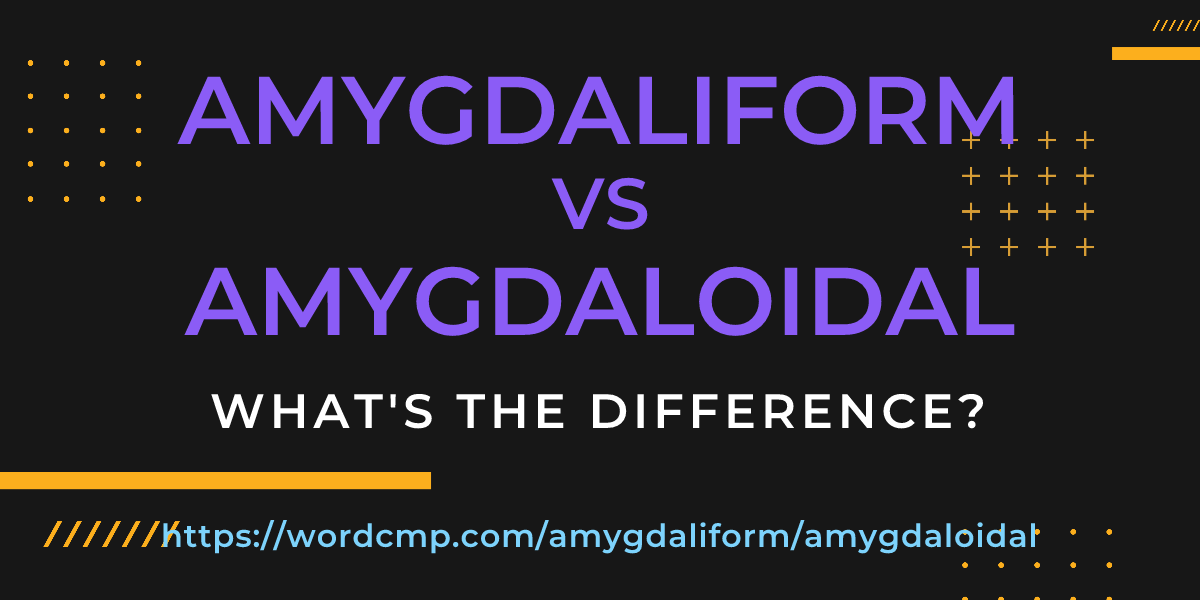 Difference between amygdaliform and amygdaloidal