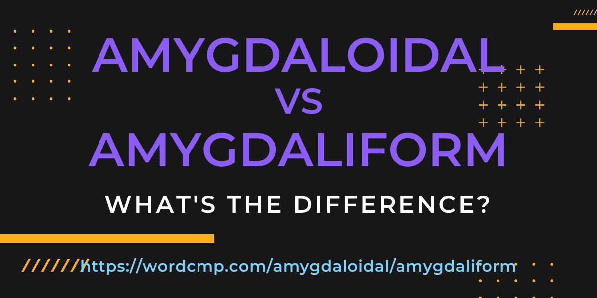 Difference between amygdaloidal and amygdaliform