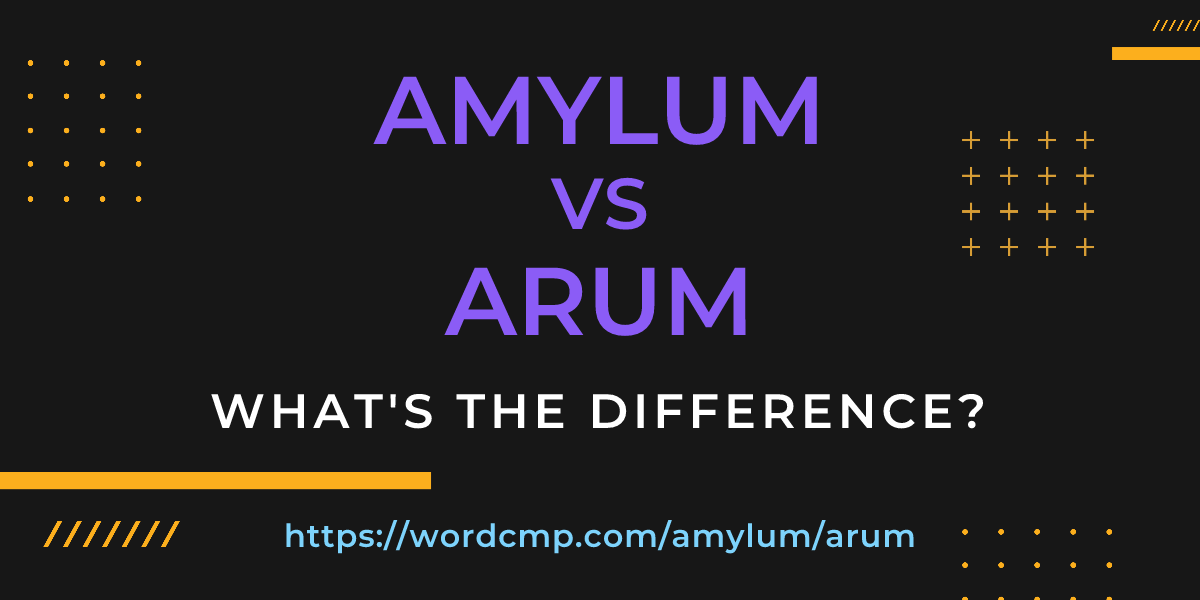 Difference between amylum and arum