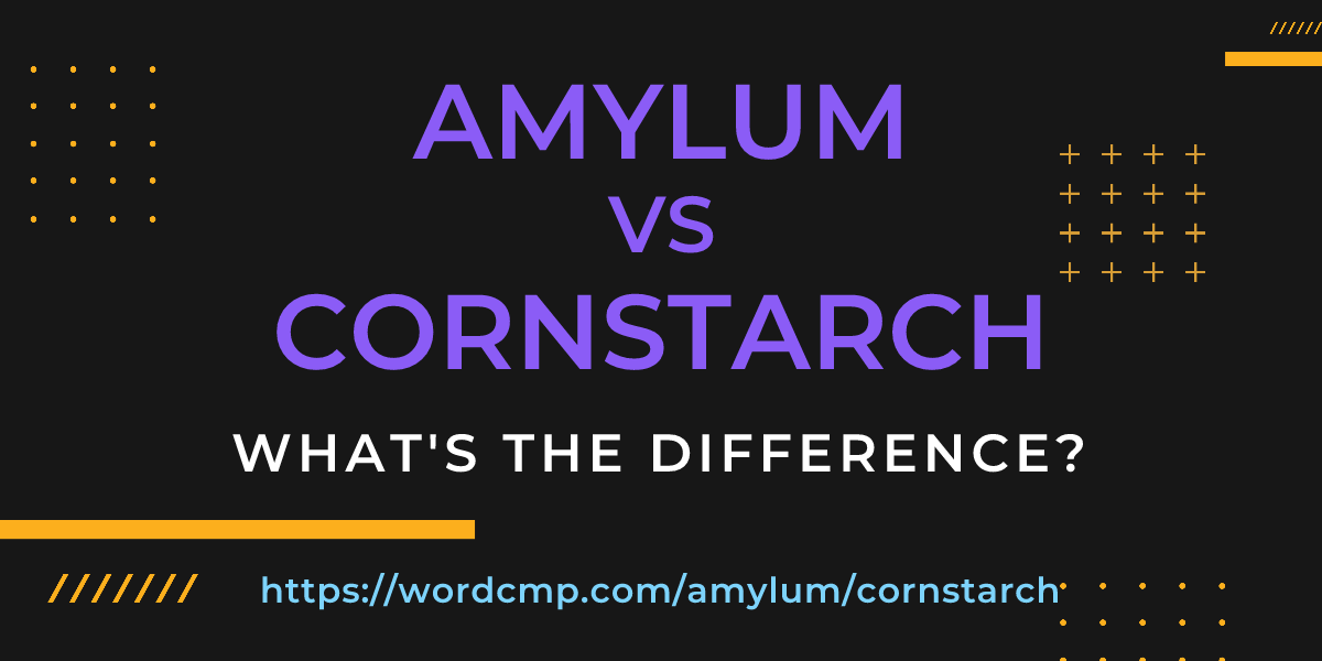 Difference between amylum and cornstarch