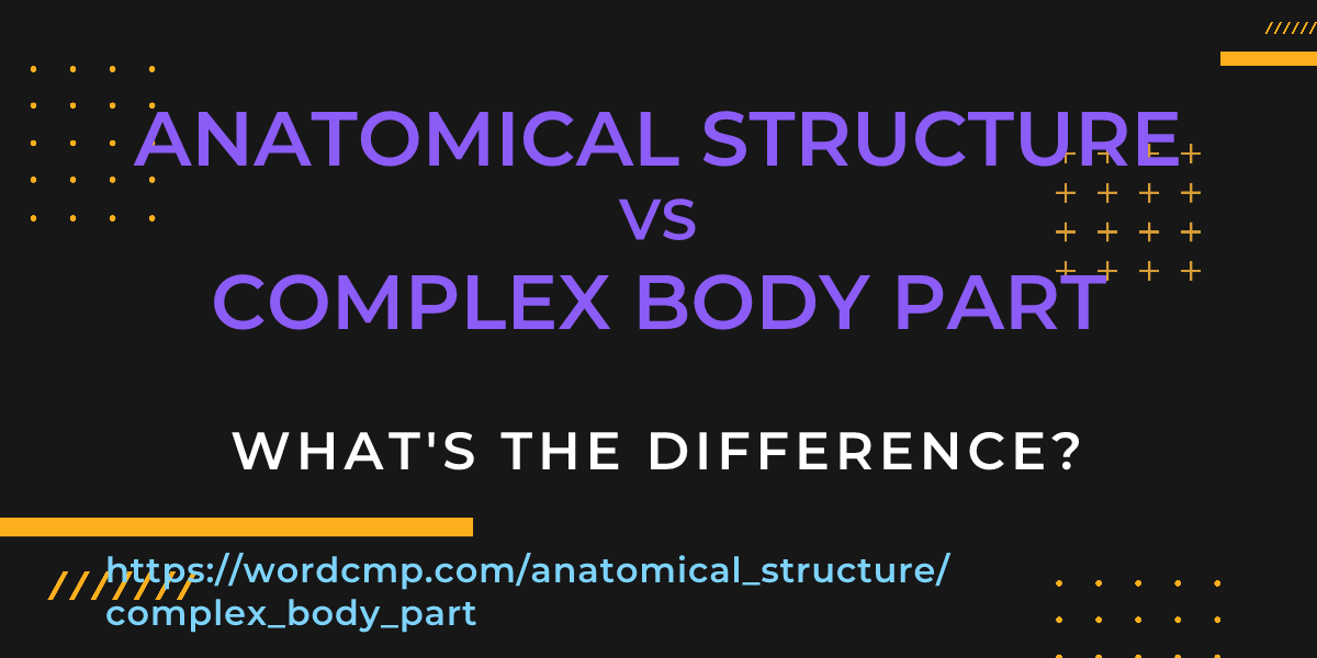 Difference between anatomical structure and complex body part