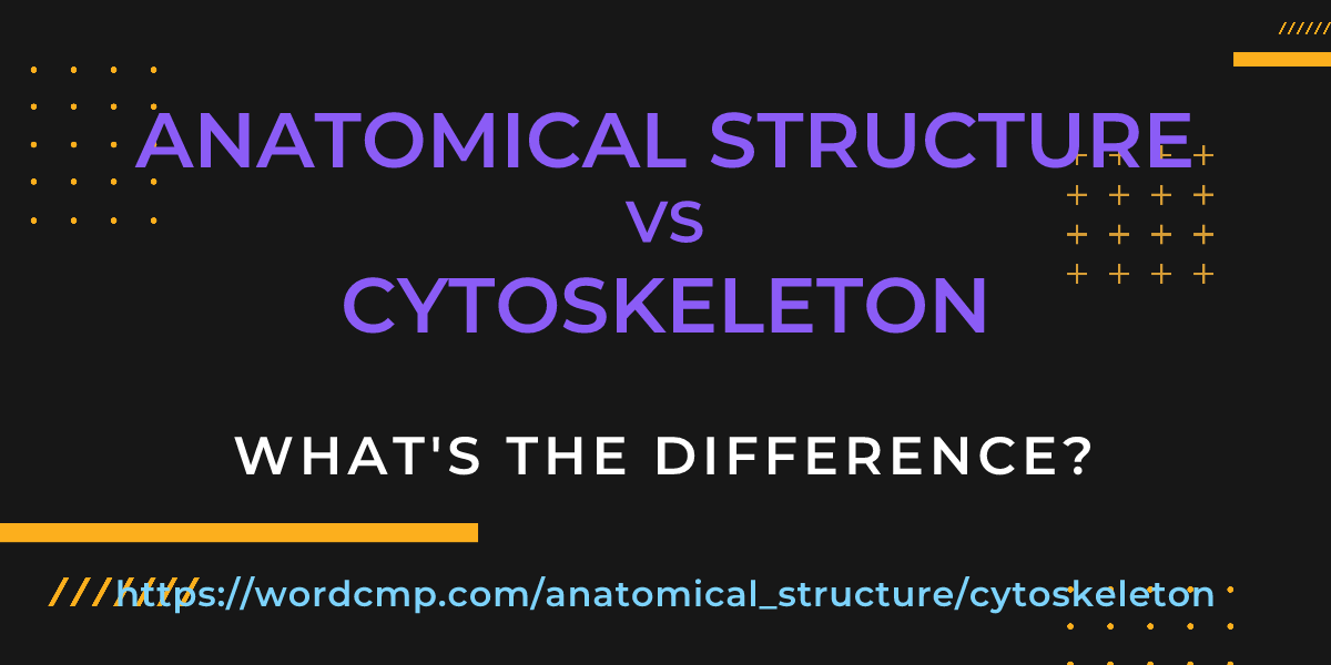 Difference between anatomical structure and cytoskeleton