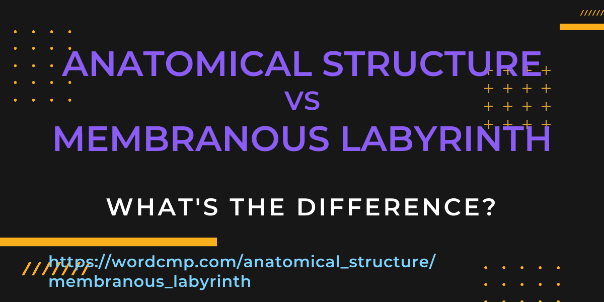 Difference between anatomical structure and membranous labyrinth