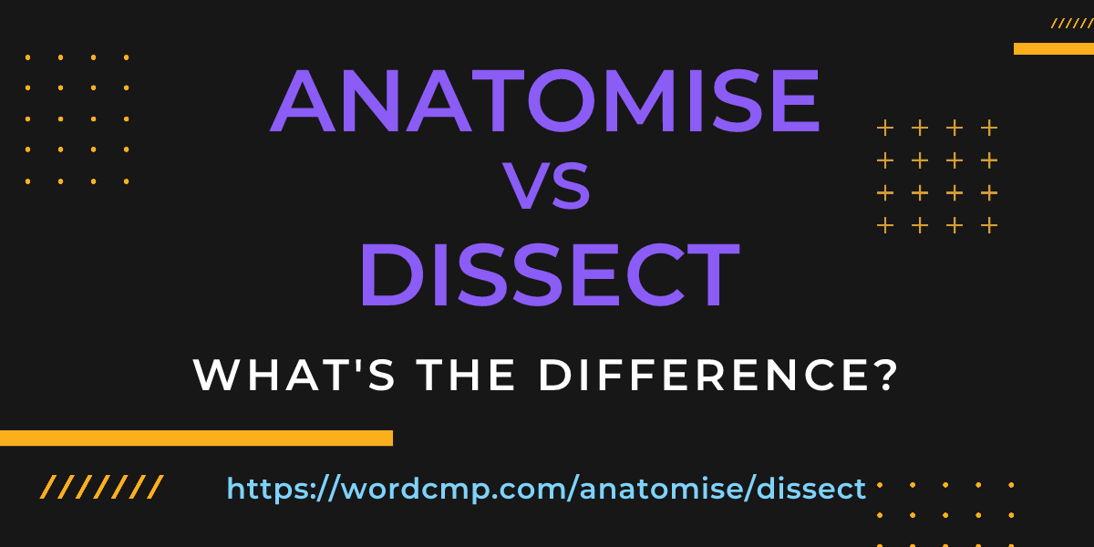 Difference between anatomise and dissect