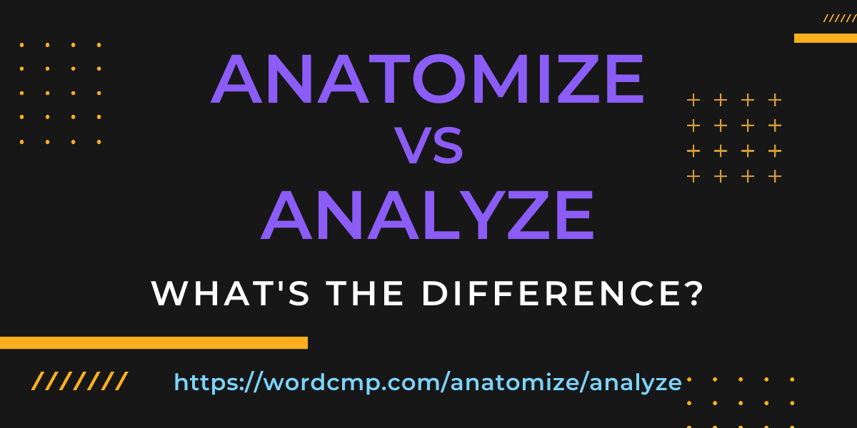 Difference between anatomize and analyze