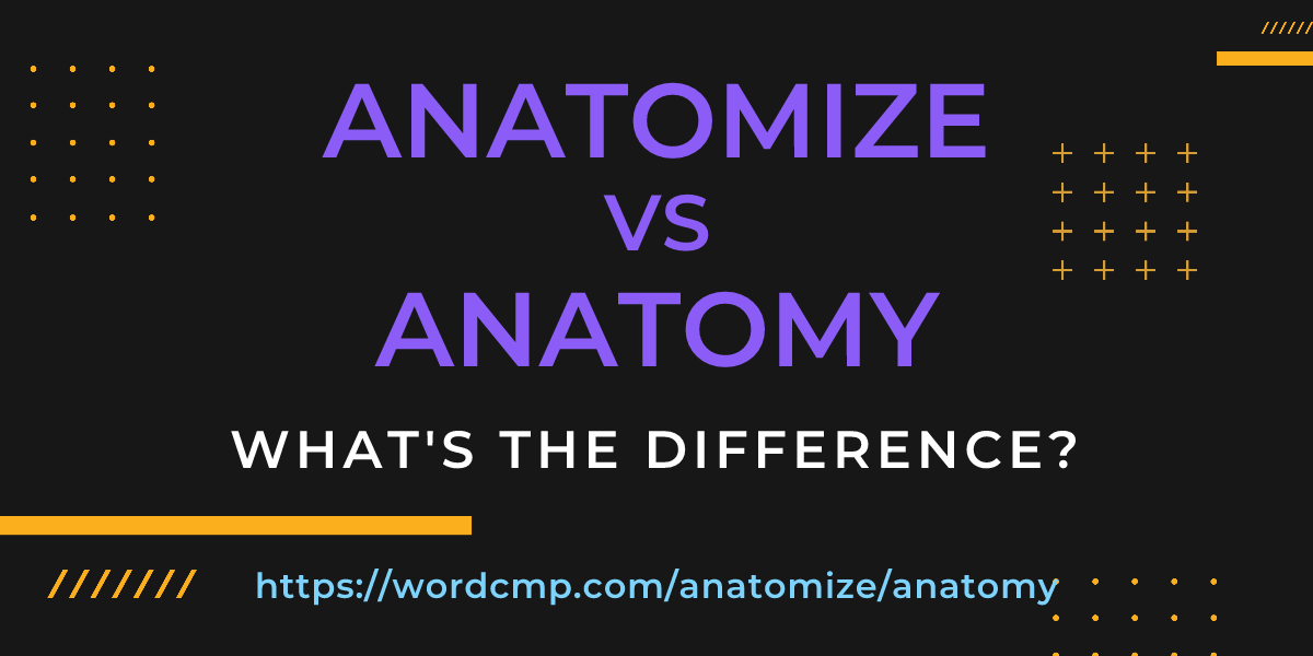Difference between anatomize and anatomy
