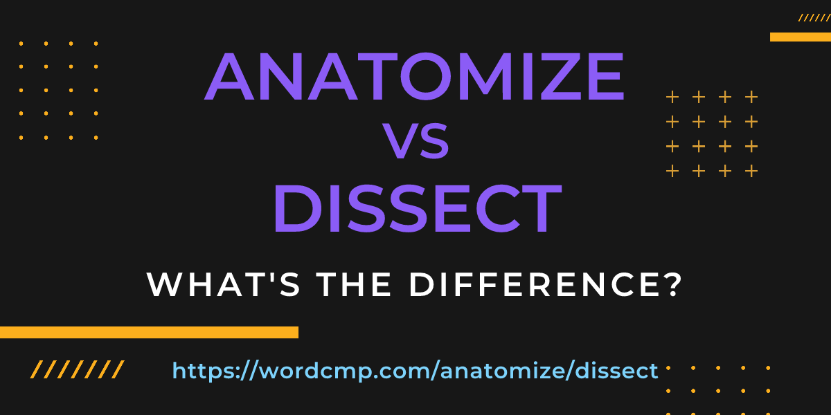 Difference between anatomize and dissect