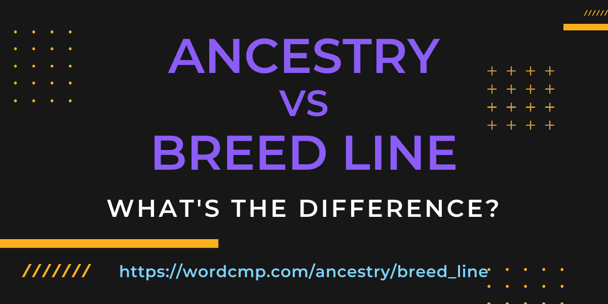 Difference between ancestry and breed line