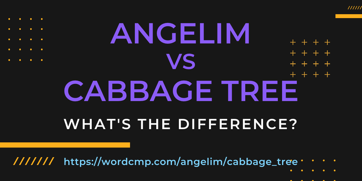 Difference between angelim and cabbage tree