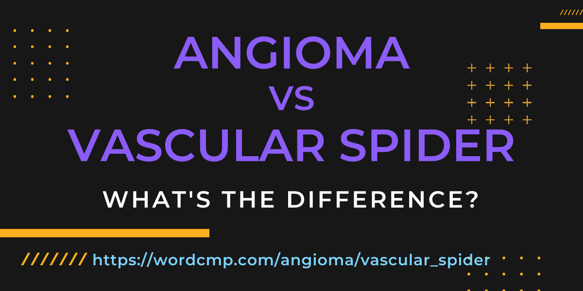 Difference between angioma and vascular spider