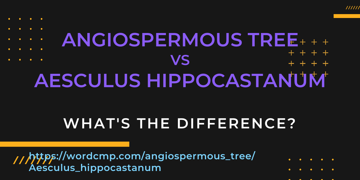 Difference between angiospermous tree and Aesculus hippocastanum