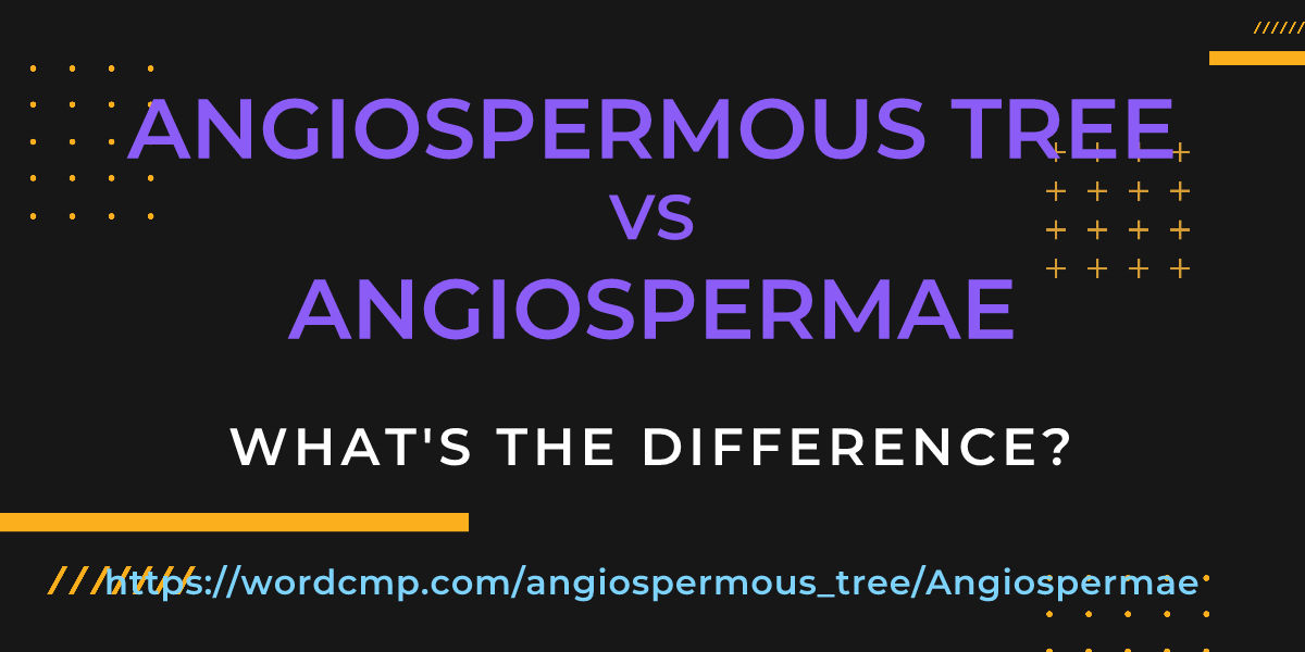 Difference between angiospermous tree and Angiospermae
