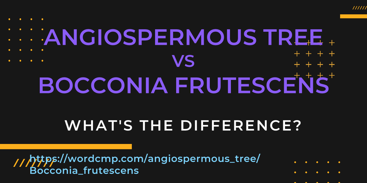 Difference between angiospermous tree and Bocconia frutescens