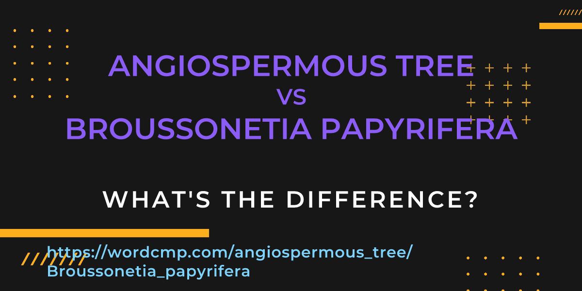 Difference between angiospermous tree and Broussonetia papyrifera