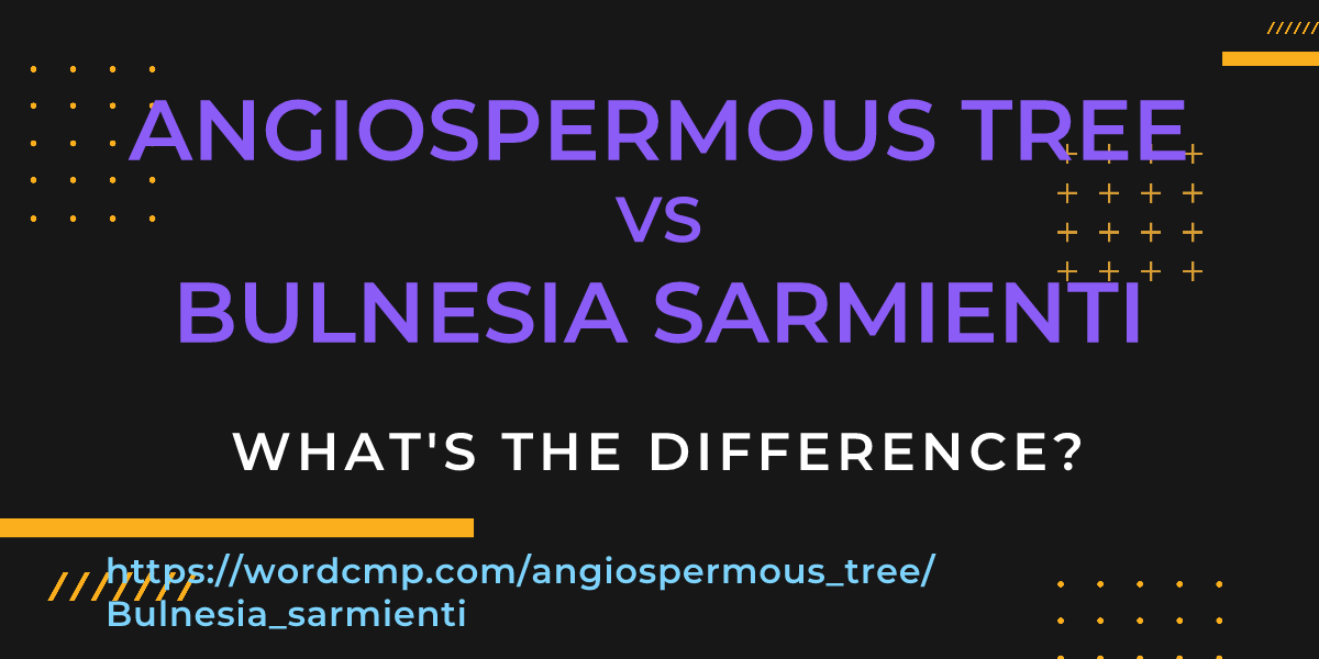 Difference between angiospermous tree and Bulnesia sarmienti