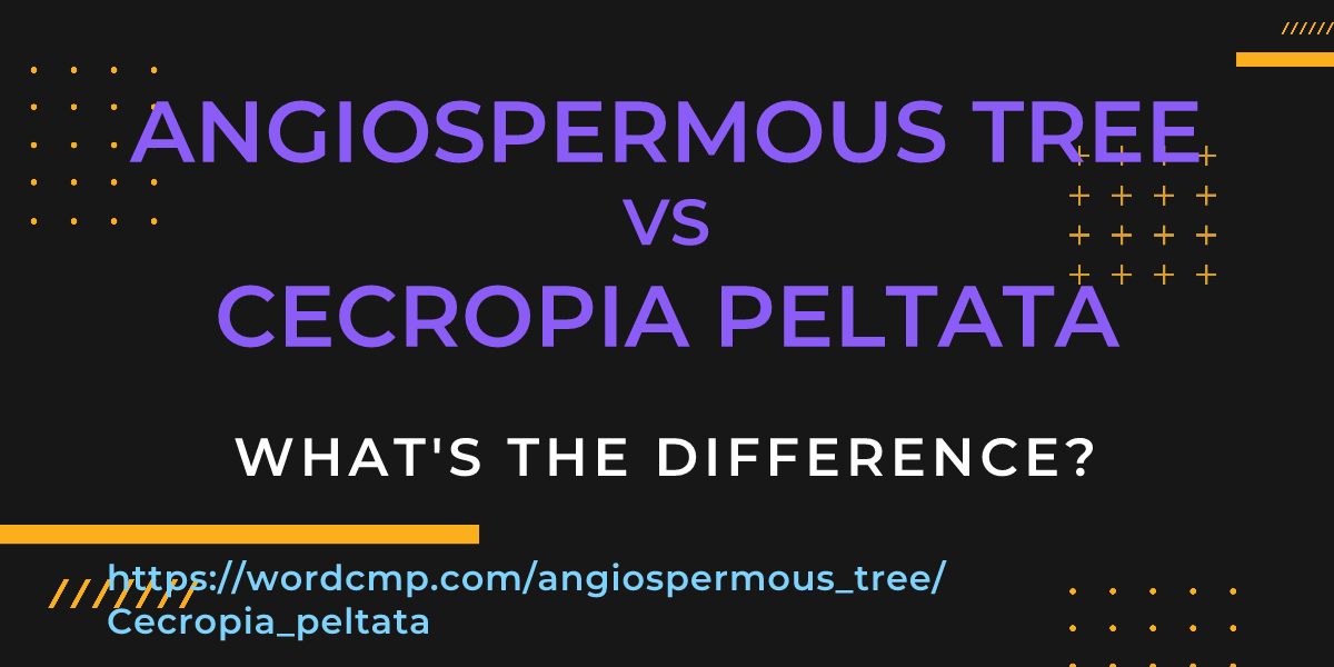 Difference between angiospermous tree and Cecropia peltata