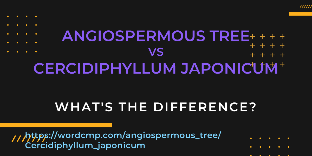 Difference between angiospermous tree and Cercidiphyllum japonicum