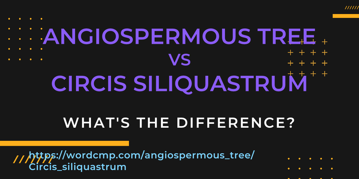Difference between angiospermous tree and Circis siliquastrum