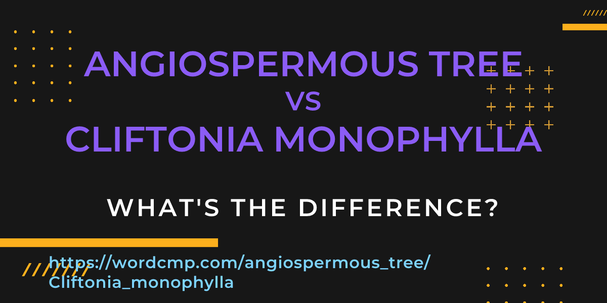 Difference between angiospermous tree and Cliftonia monophylla