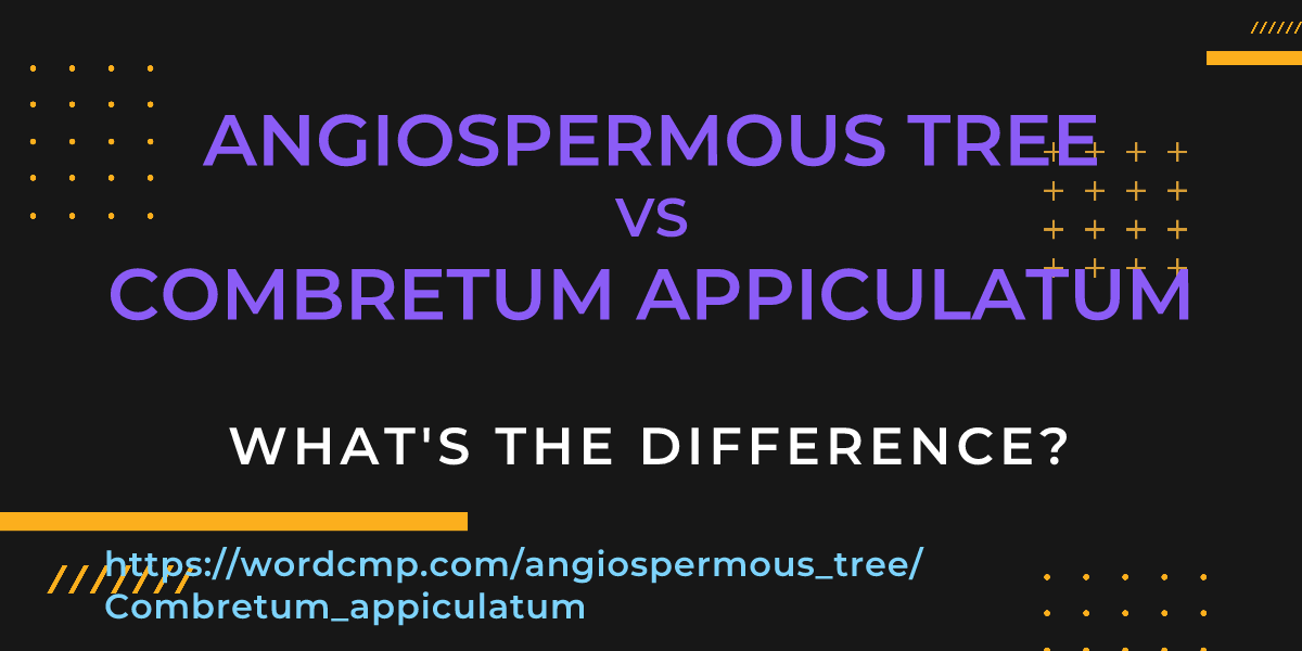 Difference between angiospermous tree and Combretum appiculatum